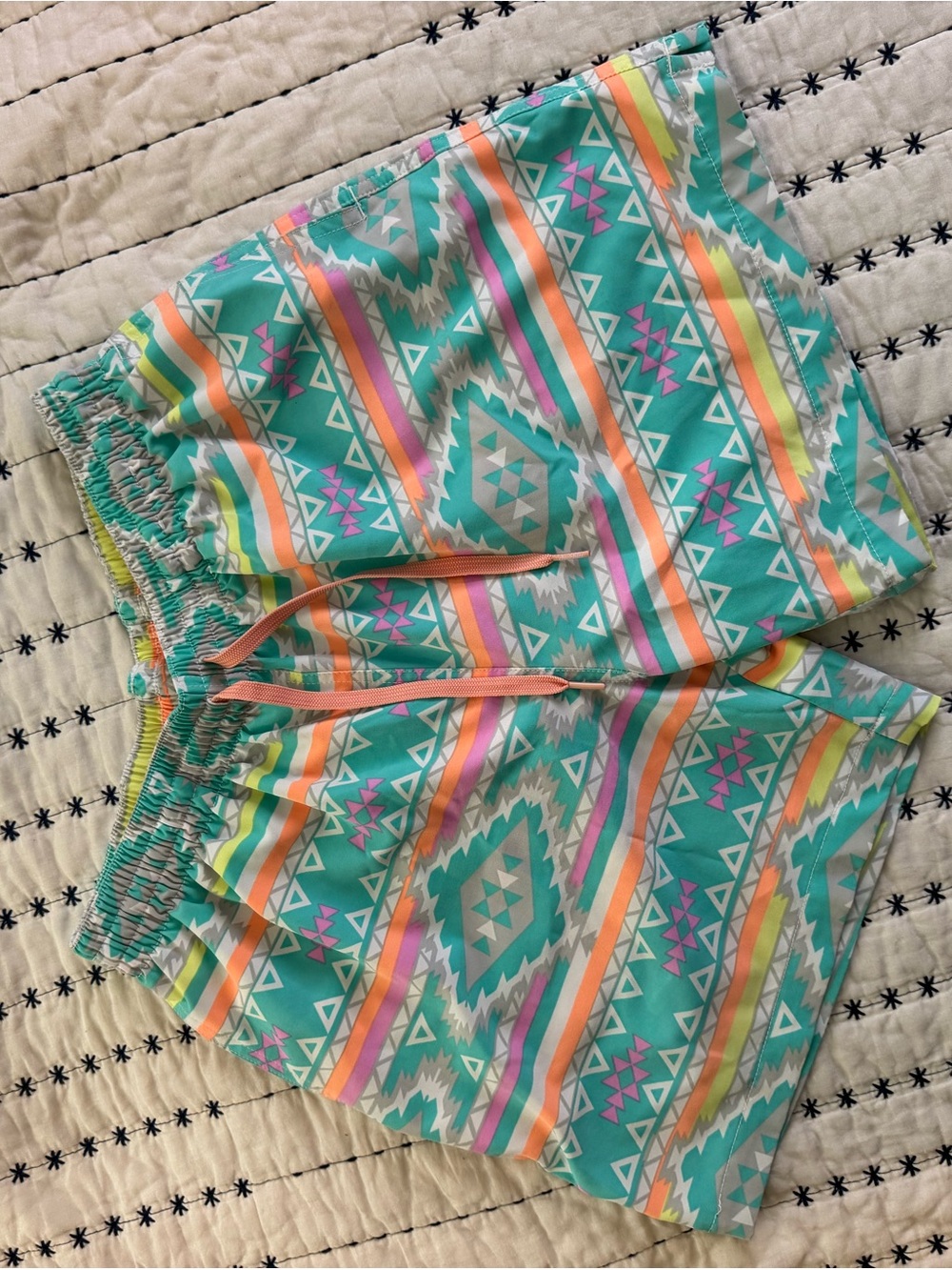 Chubbies swim shorts in coral, teal, lime and gray striped